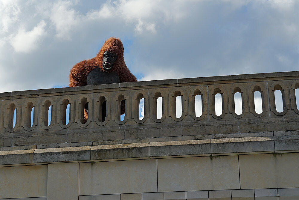 Gorilla på bro