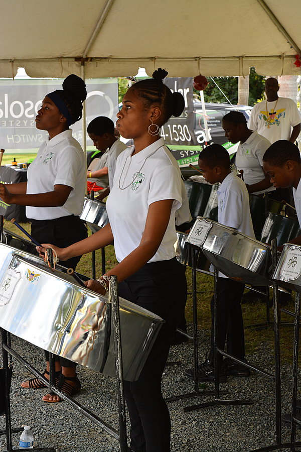Steelpan