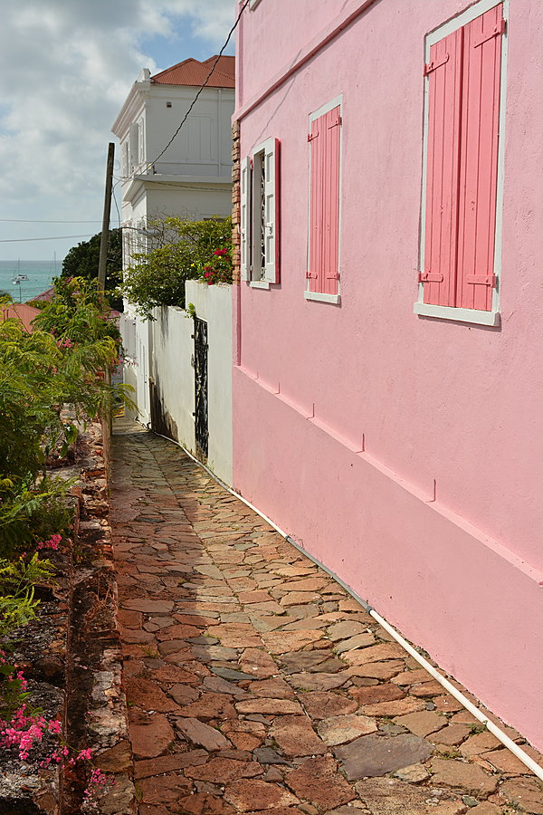 Pink House