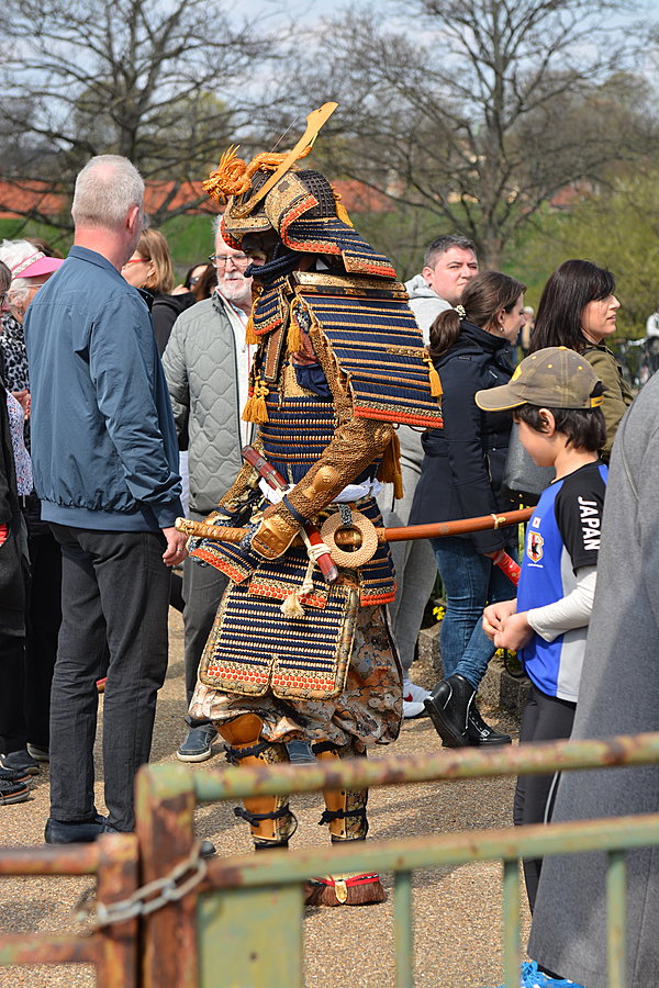 Samuraj
