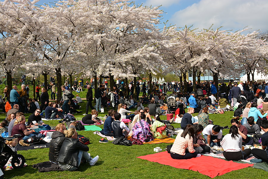 Picnic stemning