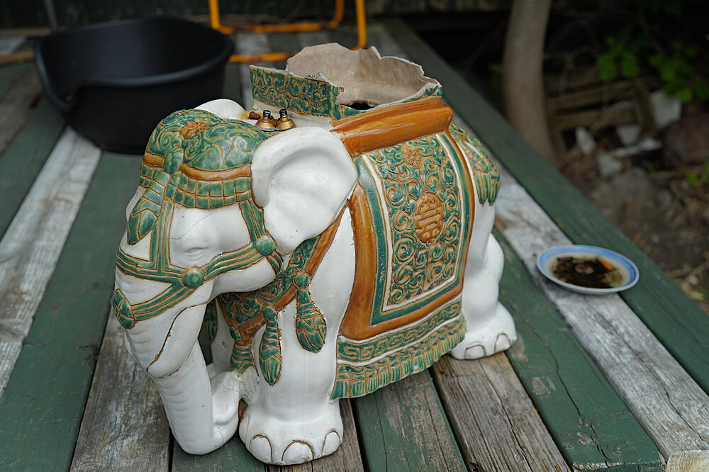 Indisk elefant