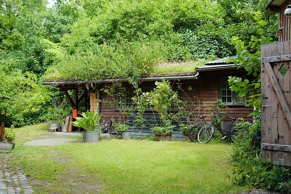 Grøn gårdsplads