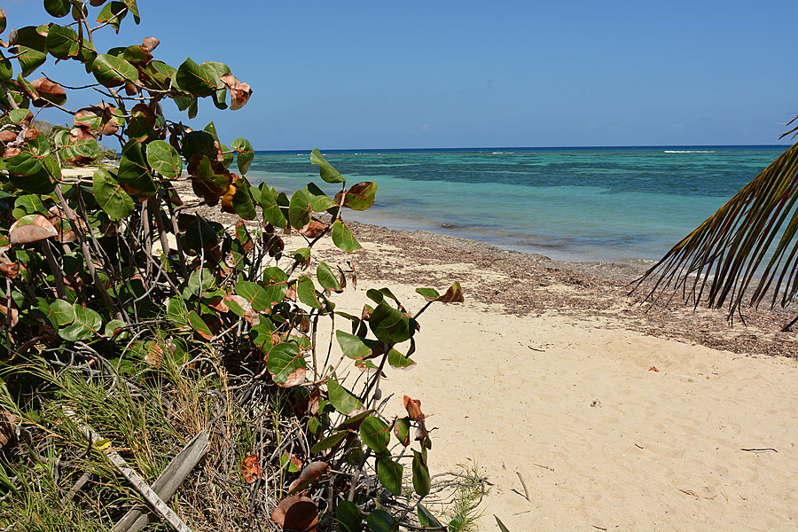 Columbus Landing
