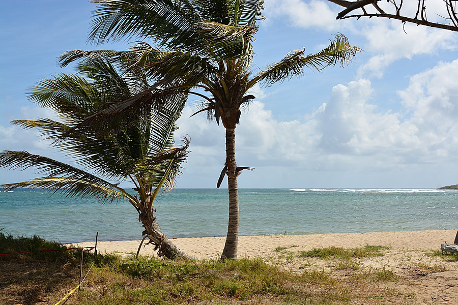 Columbus Landing