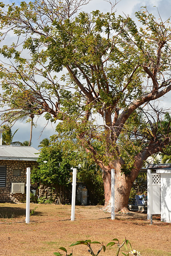 Cottages