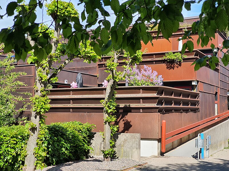 Forår