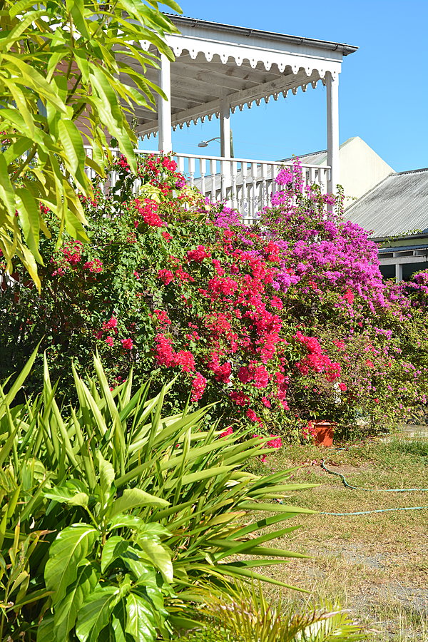 Blomster