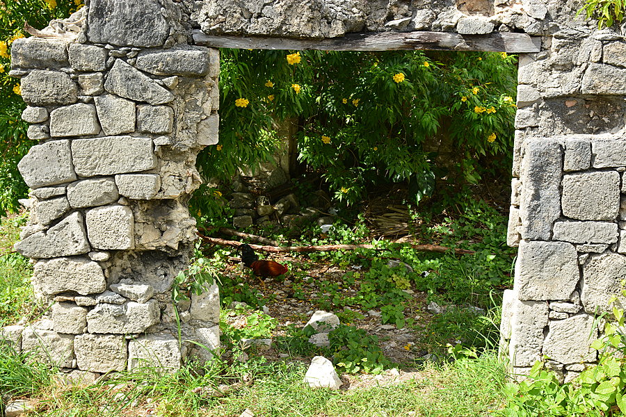 Ruin