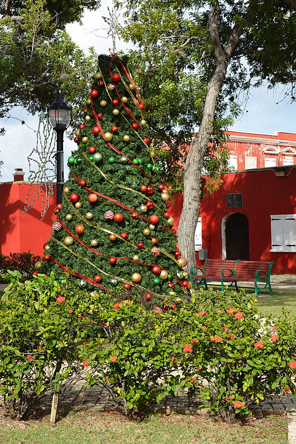 Juletræ