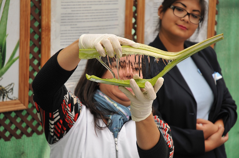 Aloe Vera gele