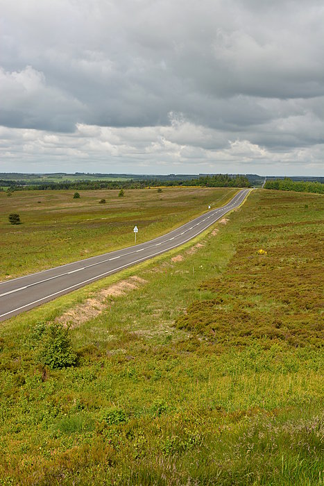 Trehøje