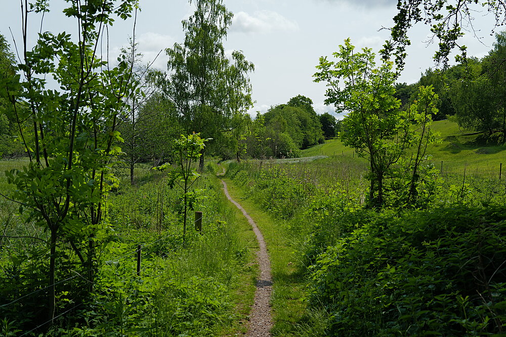 Sti ved Kalkværksvej