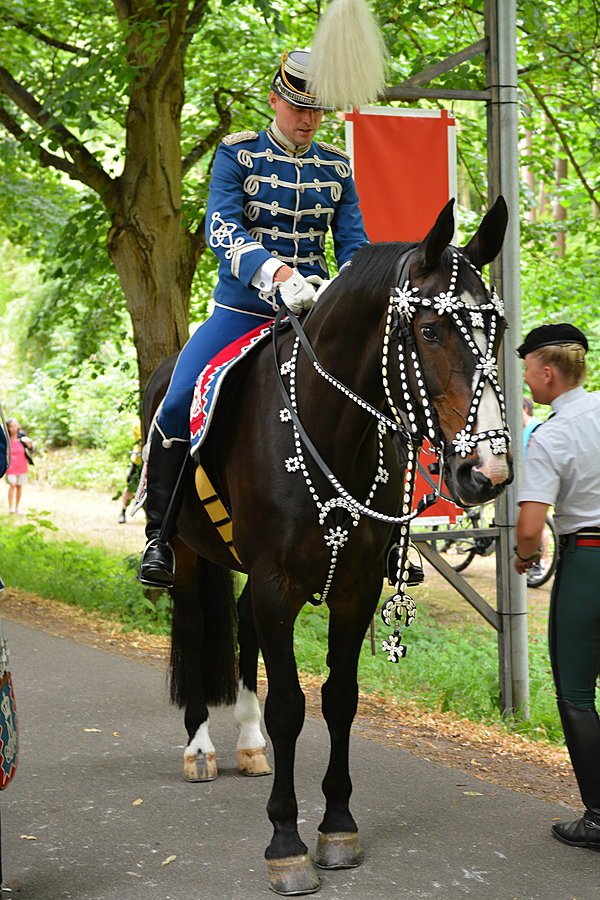 Garderhusar