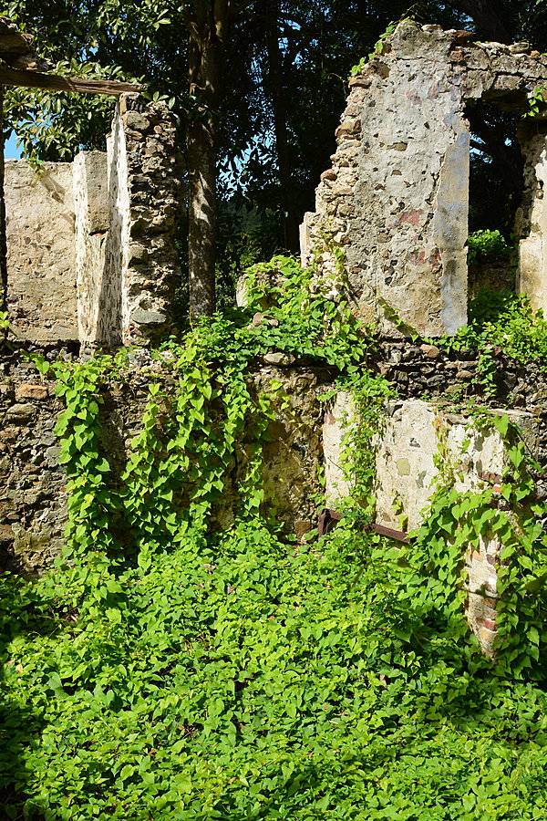 Ruin
