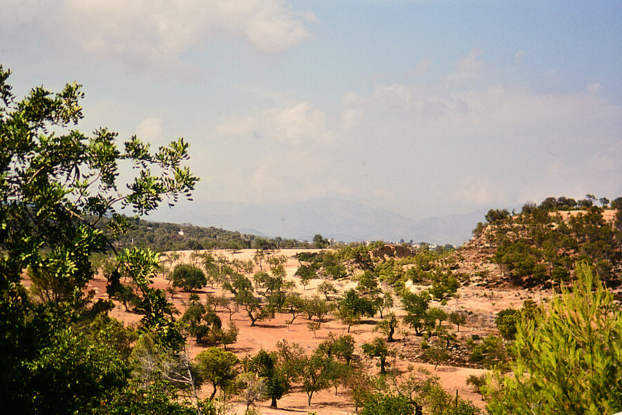 Tørt landskab