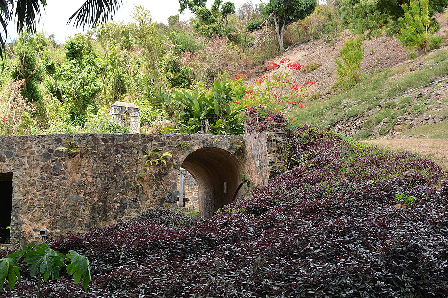Ruin