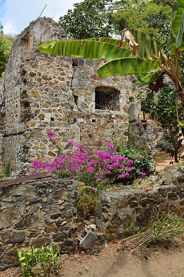 Ruin