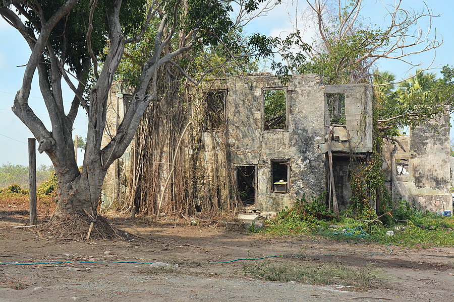 Ruin