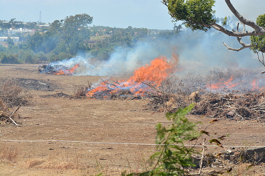 Brand