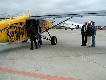Pilatus Turbo Porter med tigerstriber - Roskilde