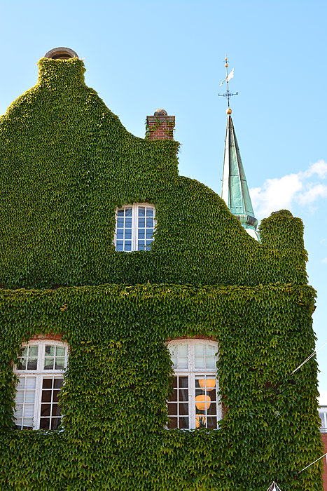 Overgroet hus