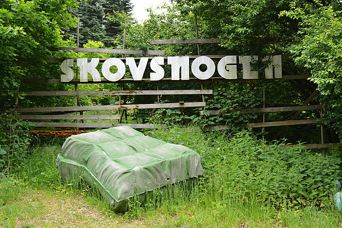 Skovsnogen