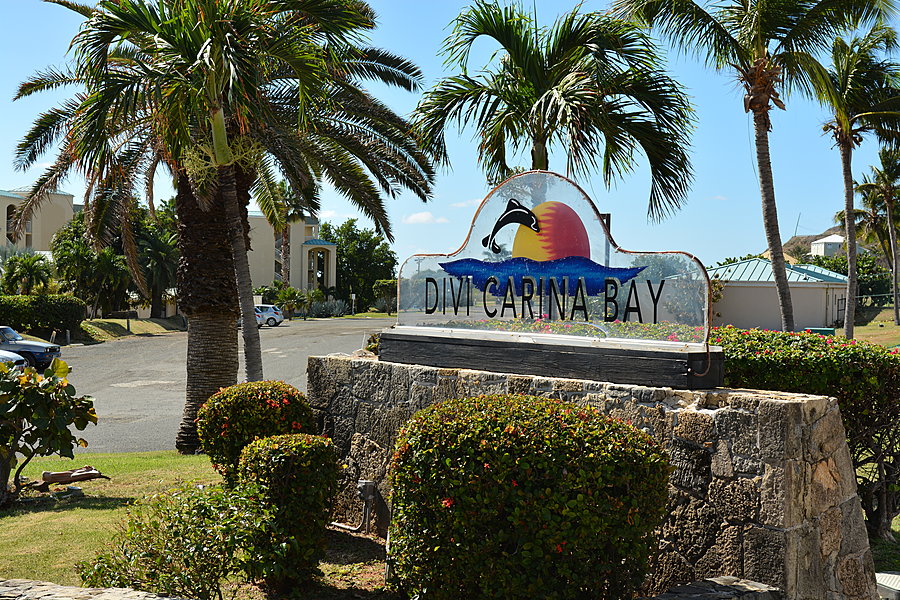 Divina Carina Bay