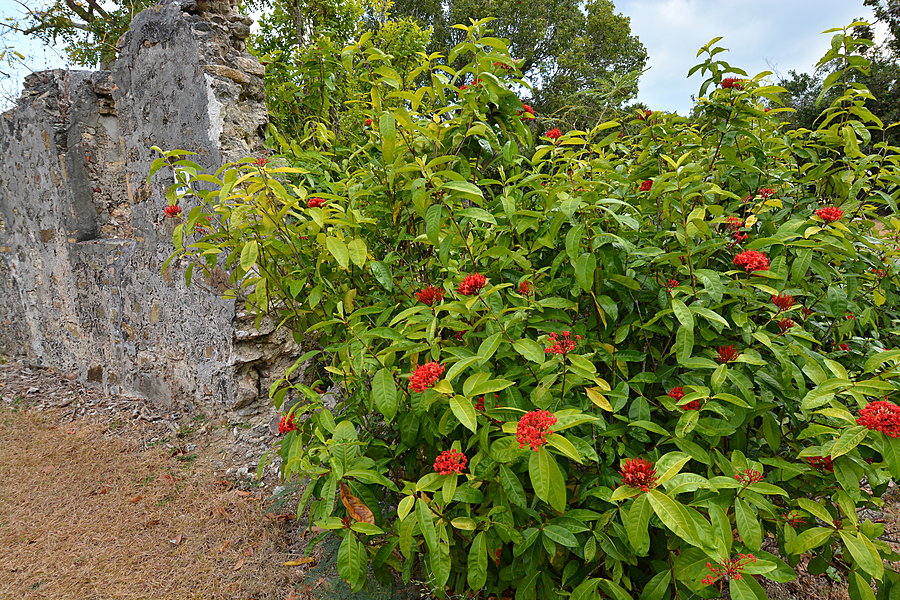 Botanisk Have