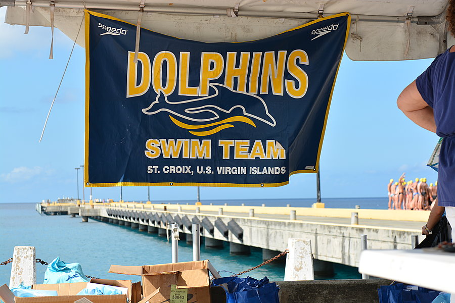 Dolphins Banner