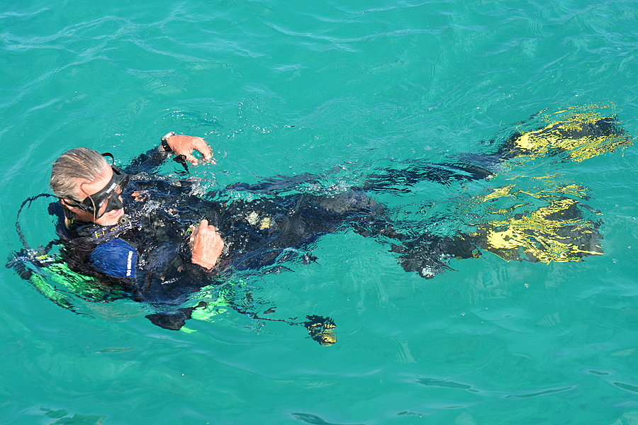 Safety diver