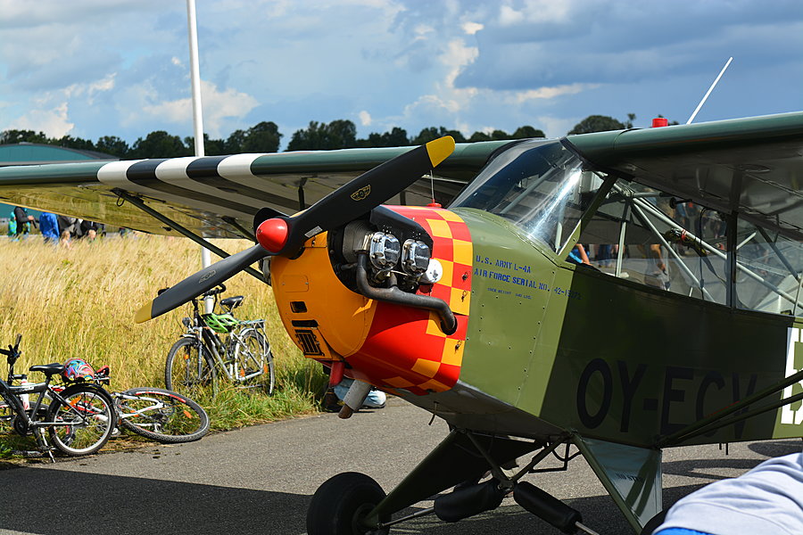 Piper Cup