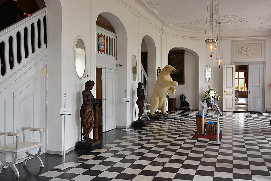 Hall med isbjørn