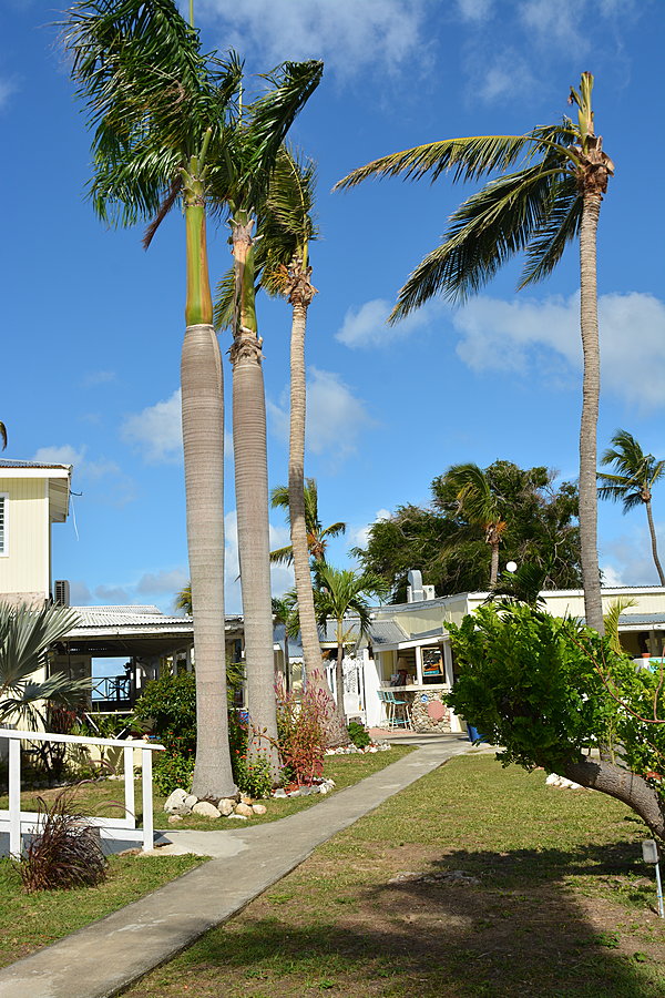 Cottages